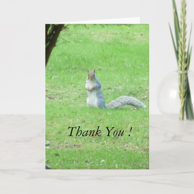 Grey Squirrel Thank You Card (Front)