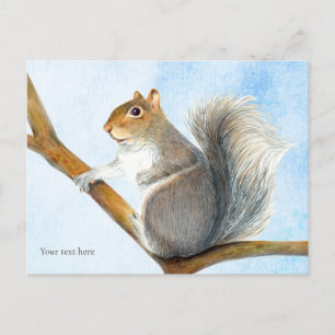 Grey Squirrel Watercolor Painting Postcard