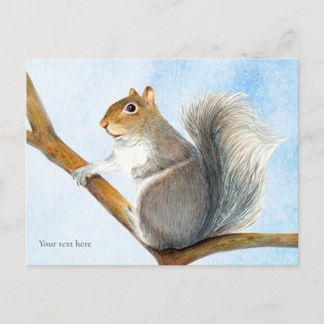 Grey Squirrel Watercolor Painting Postcard (Front)