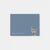 Grey Stalky Pit Bull Dog Drawing