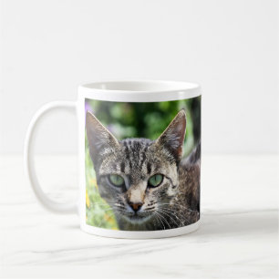 Grey Stripe Cat with Green Eyes Coffee Mug
