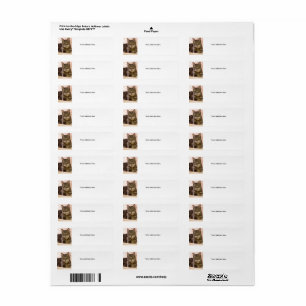 Grey tabby cat address labels