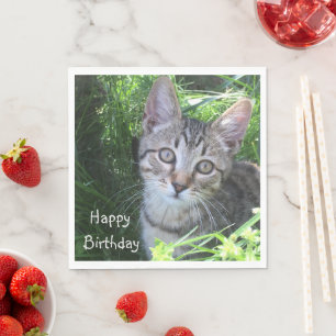 Grey Tabby Cat Birthday Napkin
