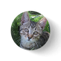 Grey Tabby Cat Button