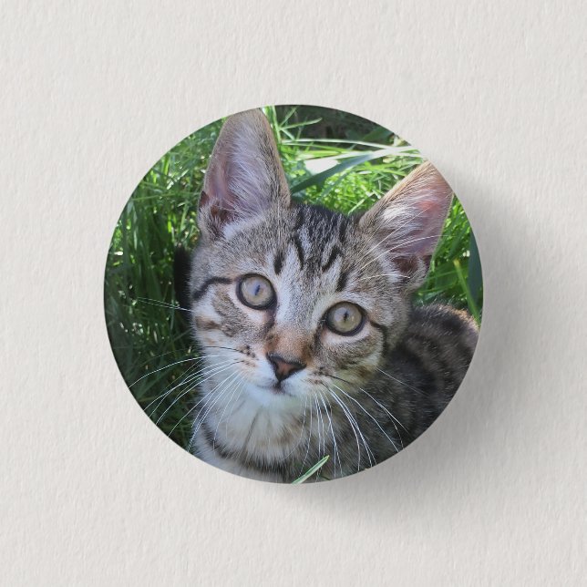 Grey Tabby Cat Button (Front)