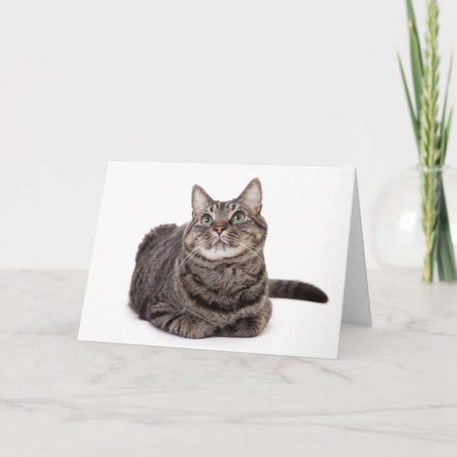Grey Tabby Cat Card (Front)