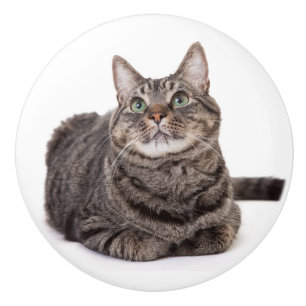 Grey Tabby Cat Ceramic Knob