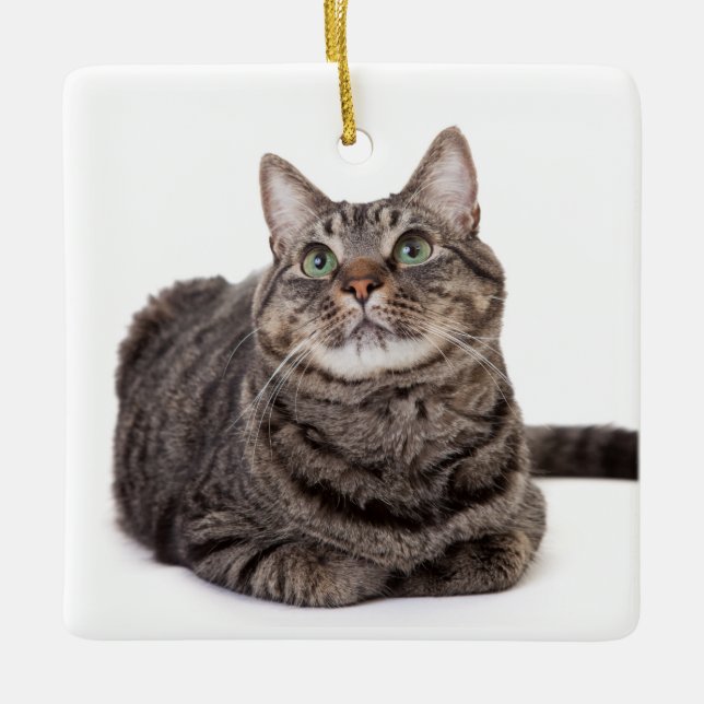 Grey Tabby Cat Ceramic Ornament (Front)