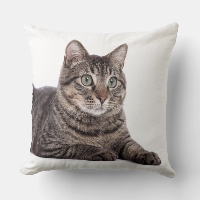 Grey Tabby Cat Cushion (Front)