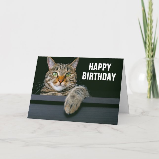 Grey Tabby Cat Face | Happy Birthday Card (Front)