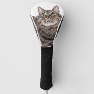 Grey Tabby Cat Golf Head Cover