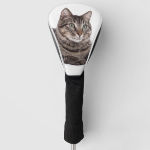 Grey Tabby Cat Golf Head Cover
