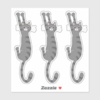 Grey Tabby Cat Hanging On | Funny Grey Striped Cat
