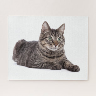 Grey Tabby Cat Jigsaw Puzzle