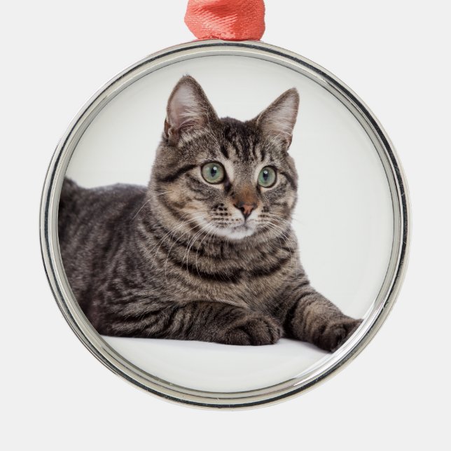 Grey Tabby Cat Metal Tree Decoration (Front)