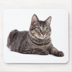 Grey Tabby Cat Mouse Mat