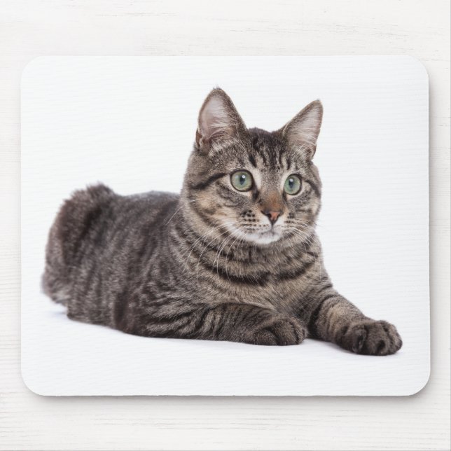 Grey Tabby Cat Mouse Mat (Front)
