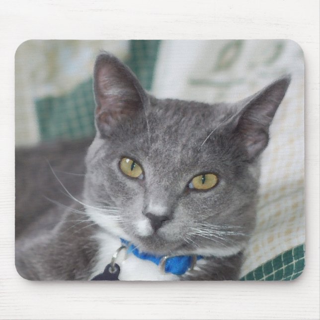 grey tabby cat mousepad (Front)