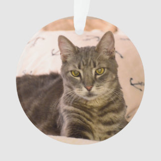 grey tabby cat ornament
