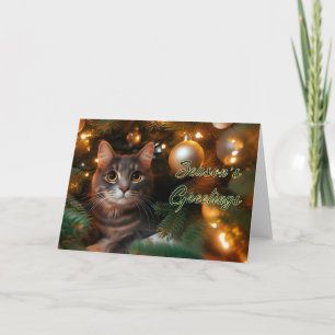 Grey Tabby Cat Sitting in Christmas Tree Card