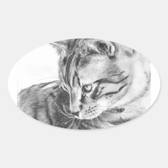Grey Tabby Cat Sketched in Charcoal Oval Sticker (Front)