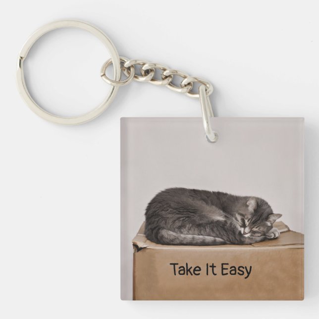Grey Tabby Cat Sleeping On Box Key Ring (Front)
