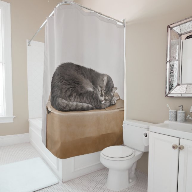 Grey Tabby Cat Sleeping On Box Shower Curtain (In Situ)