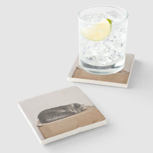 Grey Tabby Cat Sleeping On Box Stone Coaster