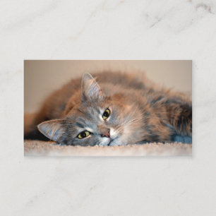 Grey, Tan, White Long-Haired Cat by Shirley Taylor Business Card