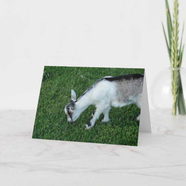 Grey the Nanny Kid Card (Front)