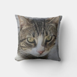 Grey Tiger Cat Picture,Lover of beautiful rare cat Cushion