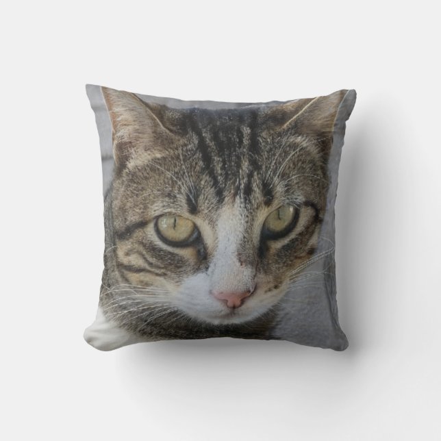 Grey Tiger Cat Picture,Lover of beautiful rare cat Cushion (Front)