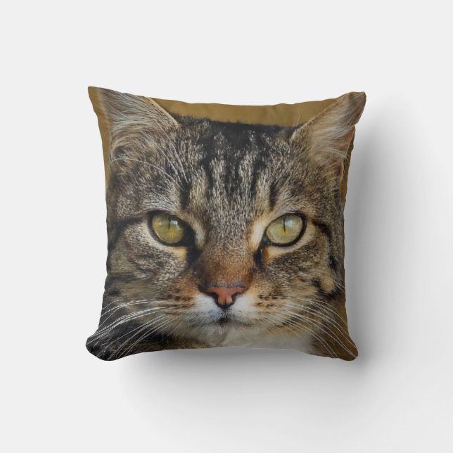 Grey tiger cat picture with dark background cushion (Front)