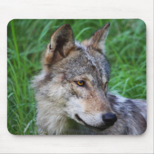 Grey Timber Wolf Mouse Mat