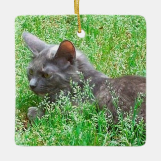 Grey Tortie Cat Ceramic Ornament