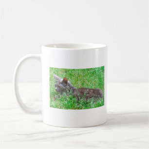 Grey Tortie Cat Coffee Mug