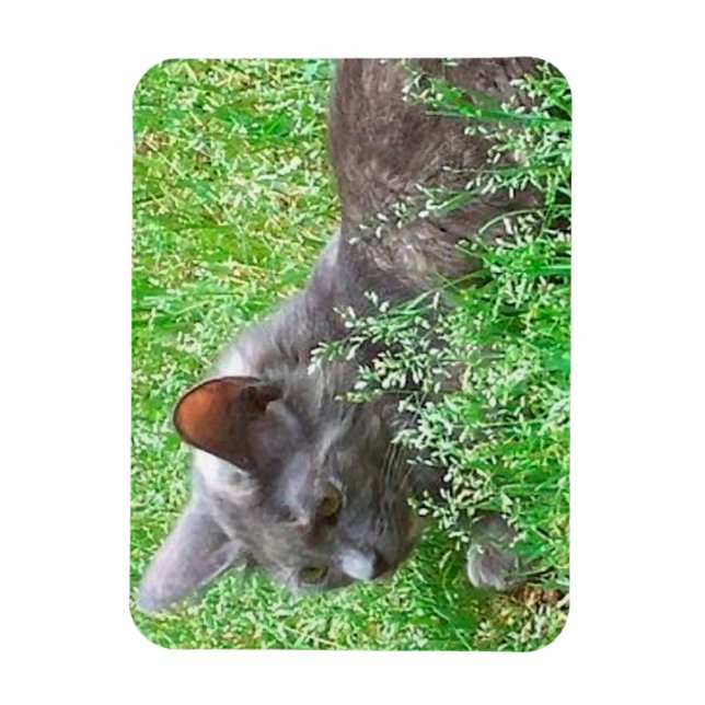 Grey Tortie Cat Magnet (Vertical)