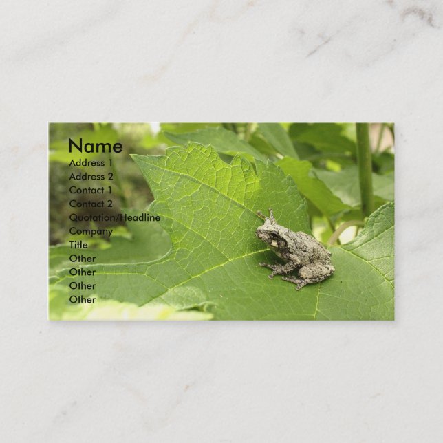 Grey Tree Frog Business Card (Front)