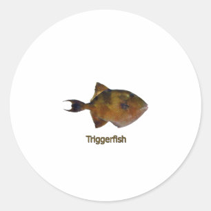 Grey Triggerfish Logo Classic Round Sticker