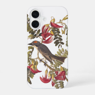 Grey Tyrant Audubon Bird on Hummingbird Tree iPhone 16 Case