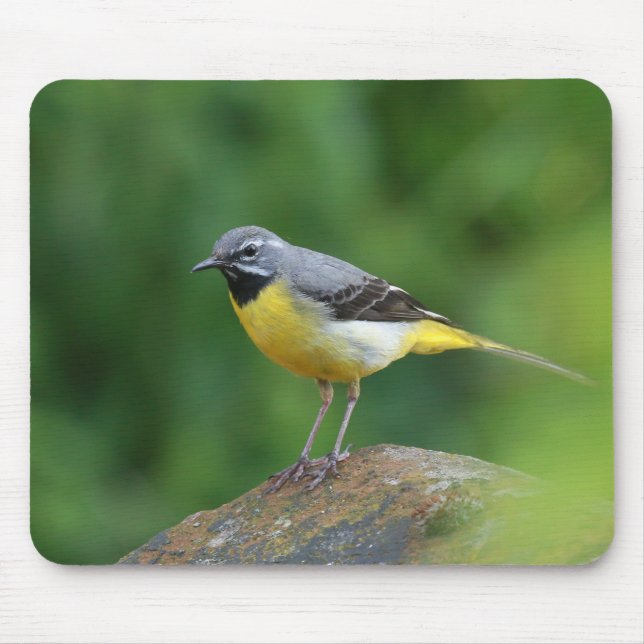 Grey Wagtail - bird Mouse Mat (Front)