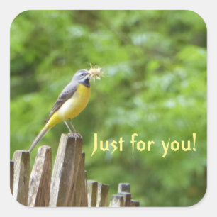 Grey Wagtail Square Sticker