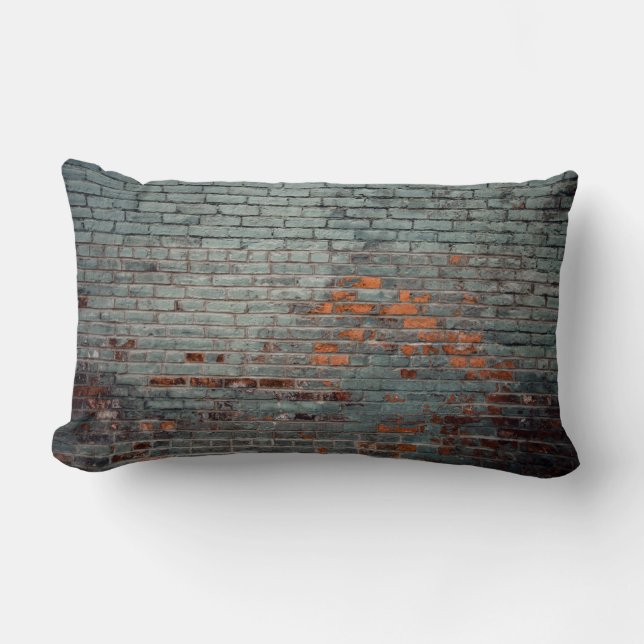 Grey wall paint lumbar cushion (Front)