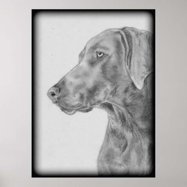 Grey Weimaraner Dog Poster (Front)