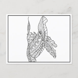 Grey Whale Black and White Colouring Postcard