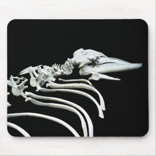 Grey Whale Fossil Mouse Mat