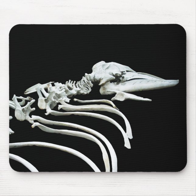 Grey Whale Fossil Mouse Mat (Front)