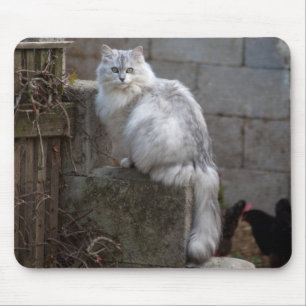 Grey-White Angora Cat Mouse Mat