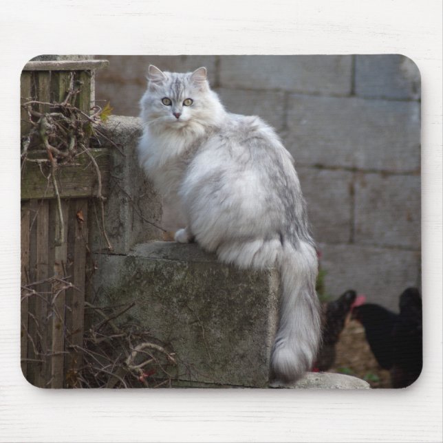 Grey-White Angora Cat Mouse Mat (Front)