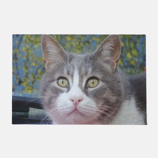 Grey White Cat Door Mat (Front)